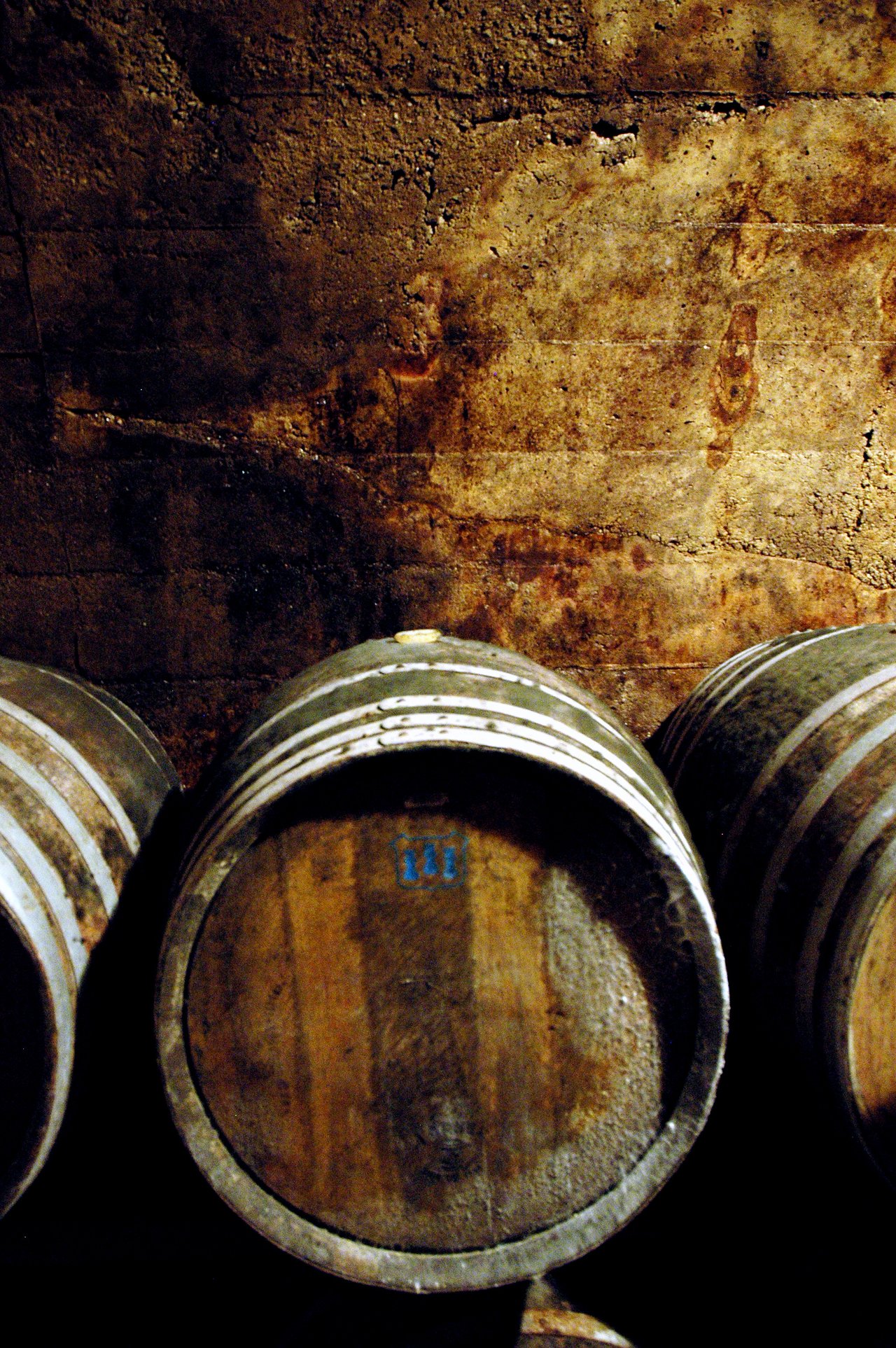 Torres vineyard