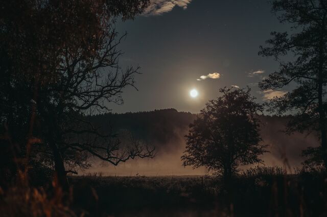 A full moon glows over a fog-covered meadow framed by silhouetted trees.