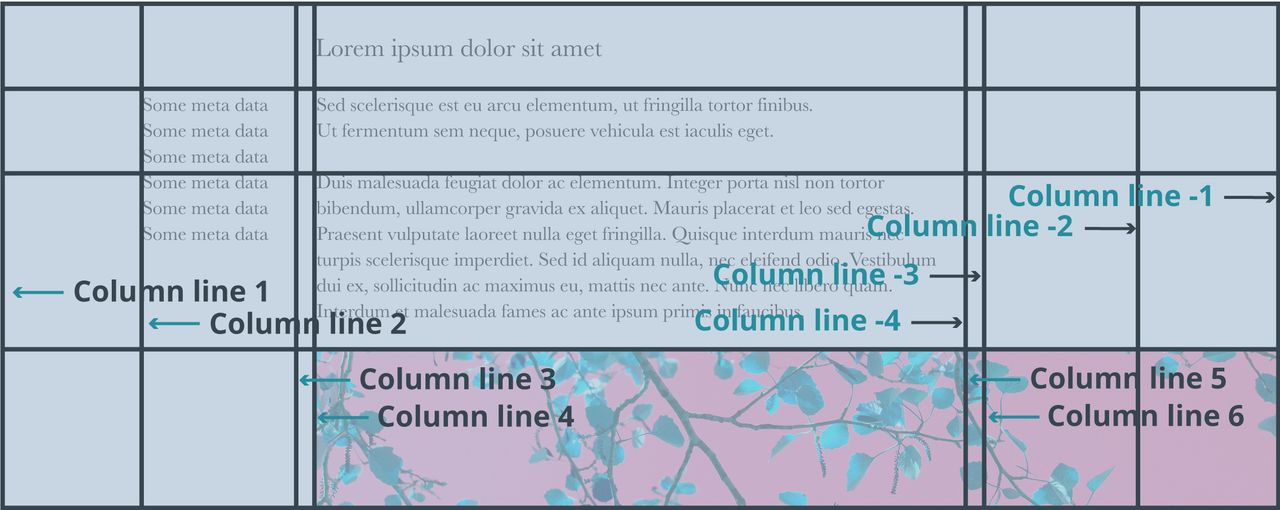 A CSS grid layout diagram showing column lines labeled with numbers and arrows indicating their positions.