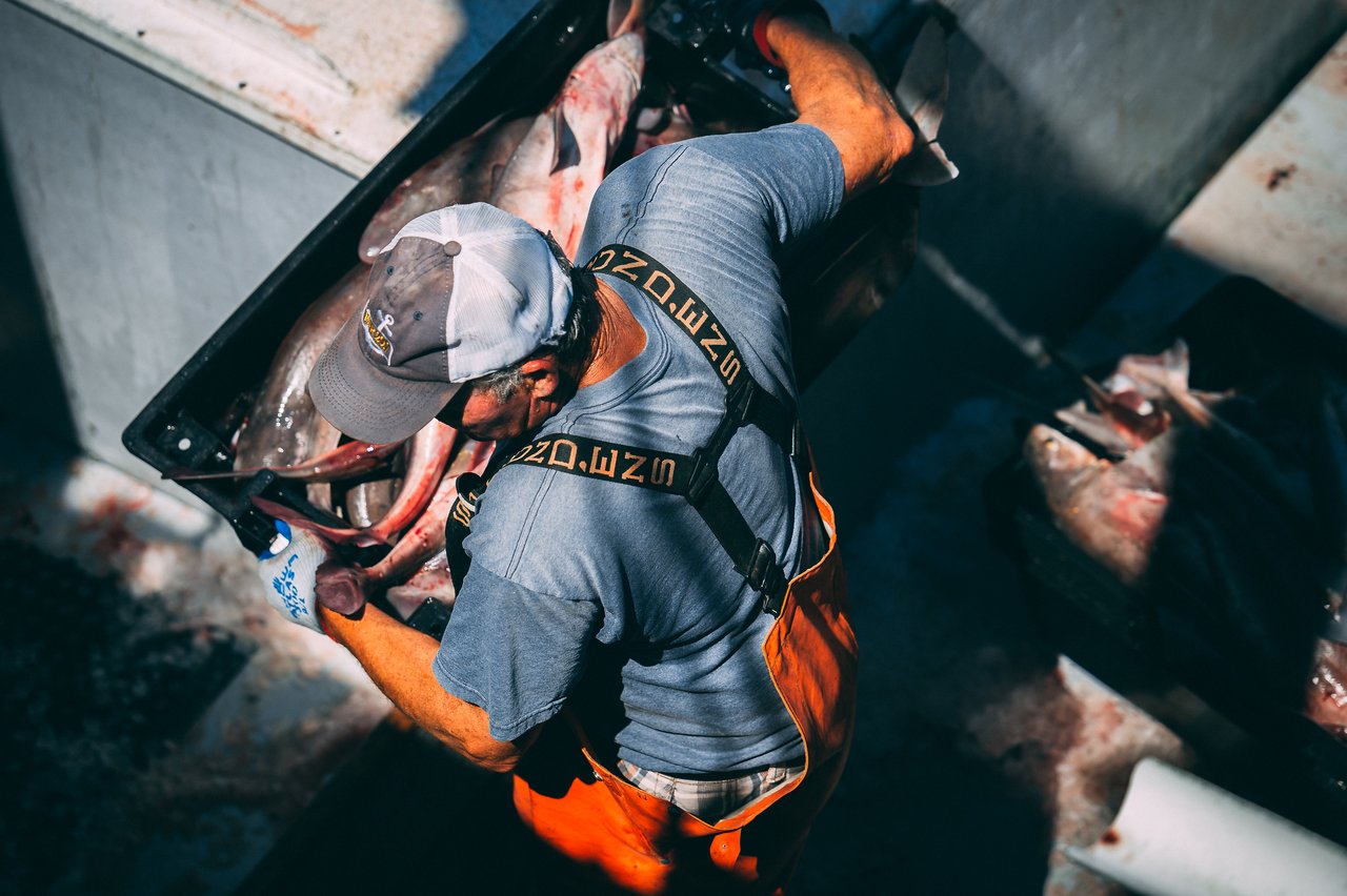 A worker unloads freshly caught fish from a container at the Chatham Pier Fish Market.