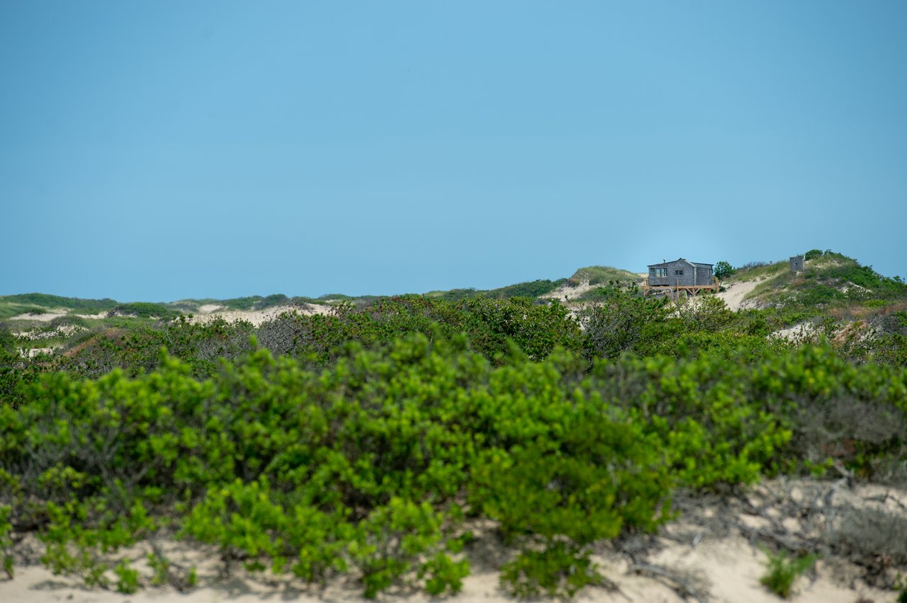 A small wooden shack sits on a sandy dune, surrounded by green vegetation under a clear blue sky.