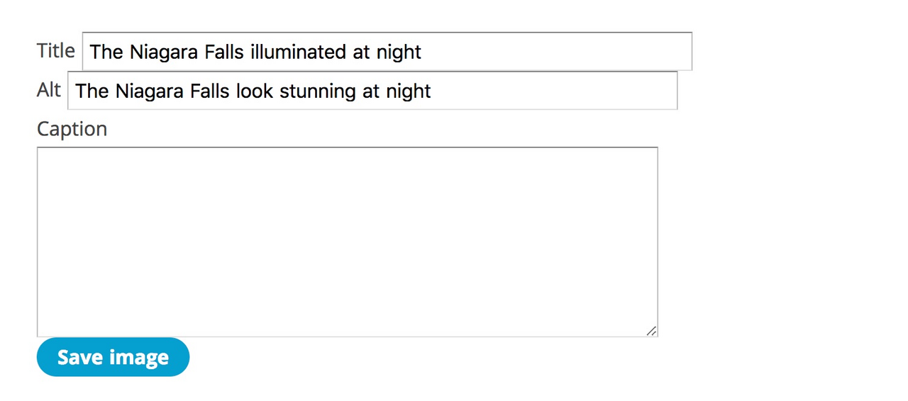 Form with Title and Alt fields filled in about the Niagara Falls at night, an empty Caption field and a "Save image" button.