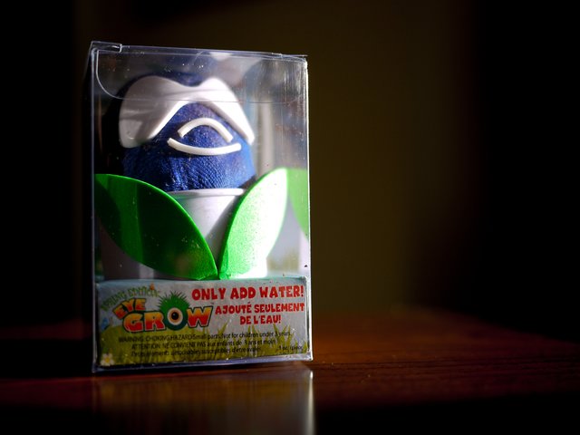 Druplipet Druplipet