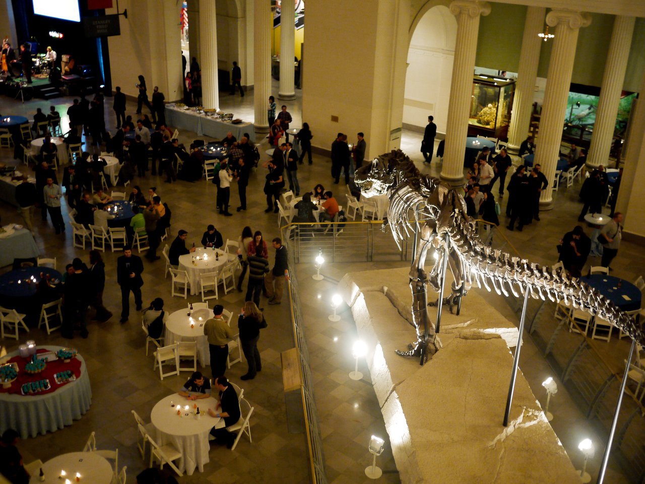 Opening party at field museum