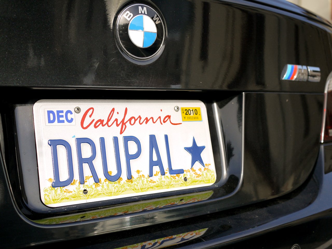 Drupal license plate
