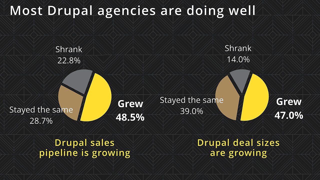 Most Drupal agencies have growing businesses