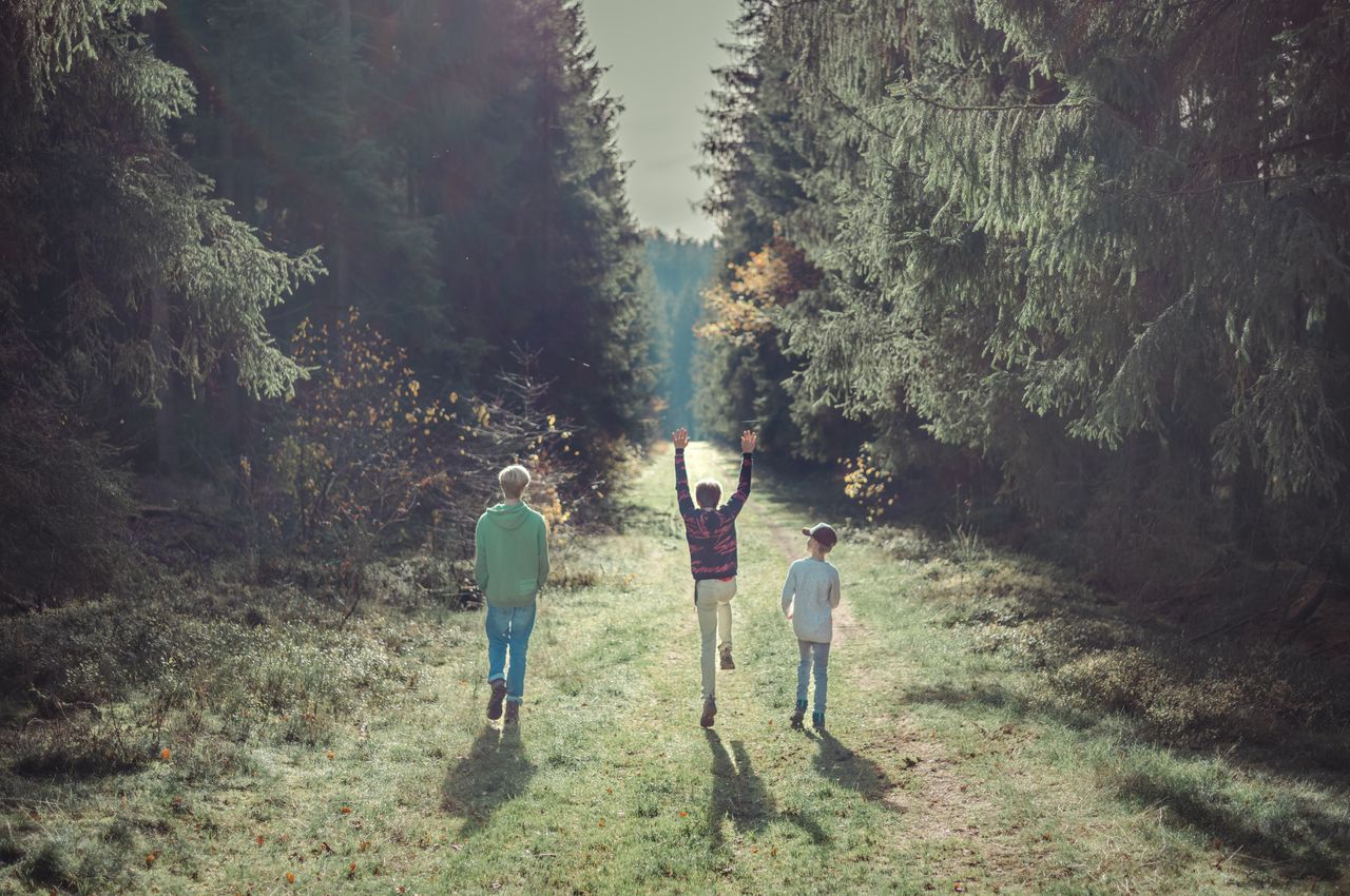 Three kids stroll on a grassy path among pine trees, the middle one jumps in joy, arms up high.