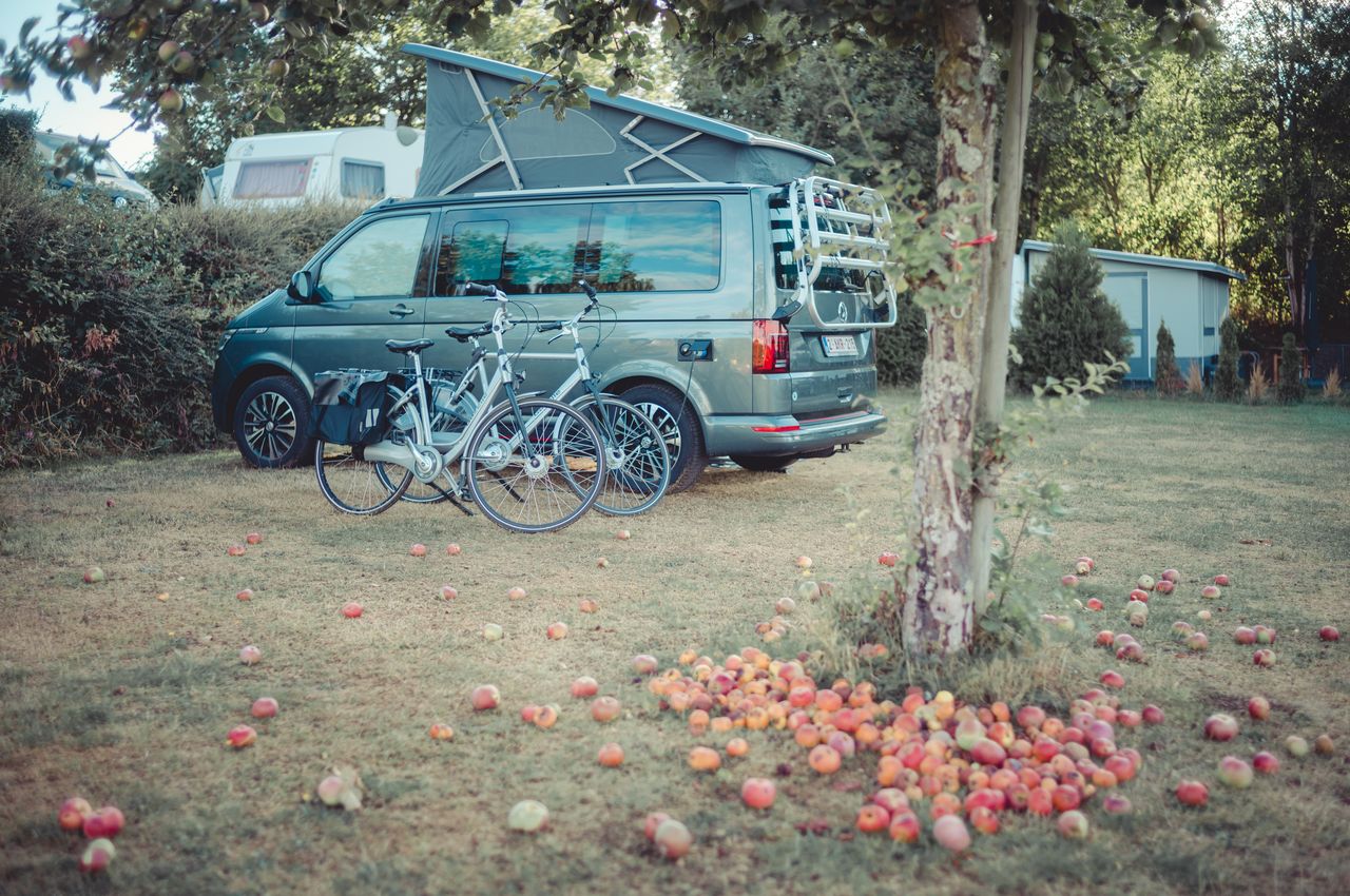Camping next to the apple tree