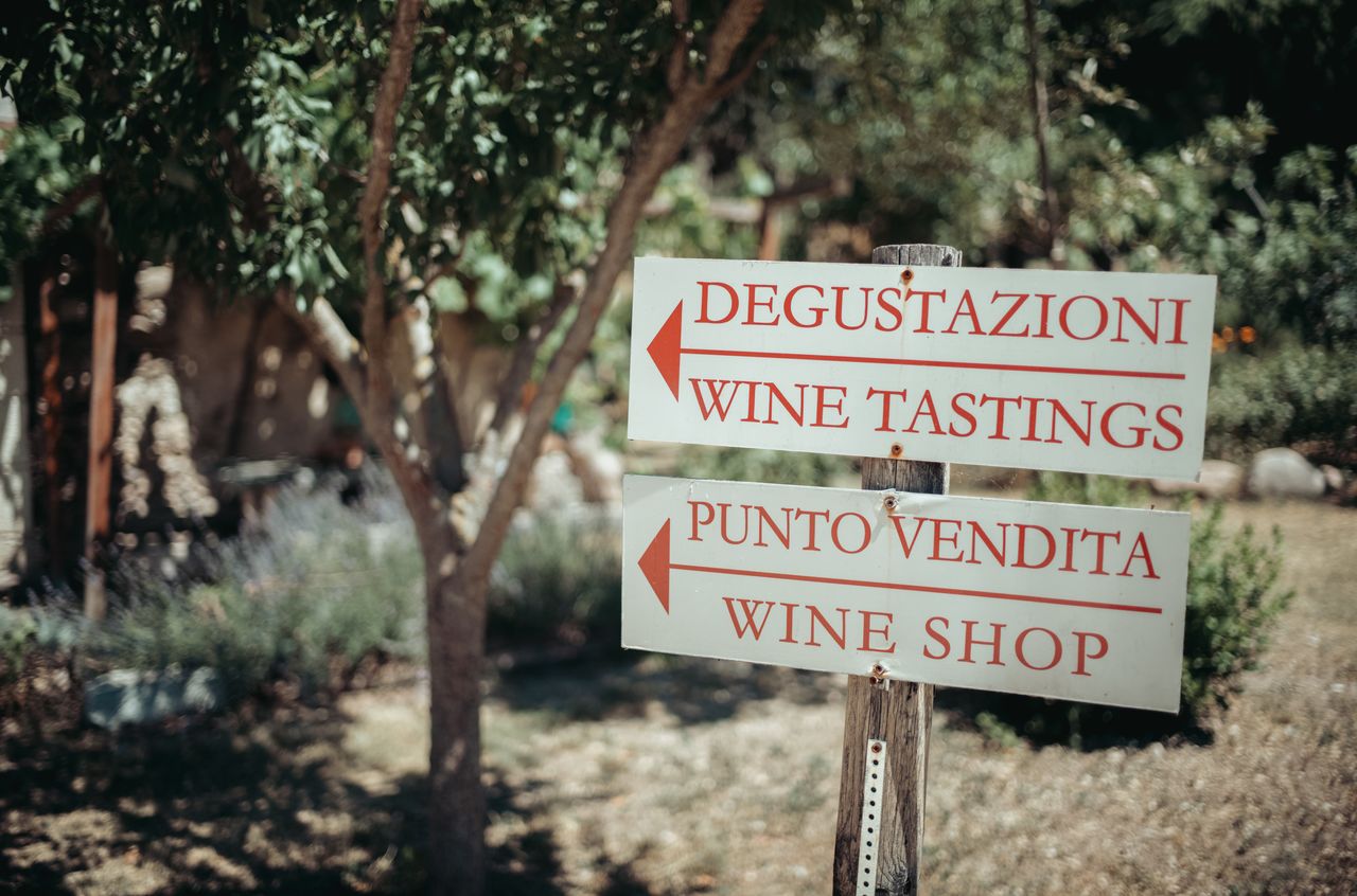 Signs that read "Wine tasting" and "Wine shop", with arrows pointing left.