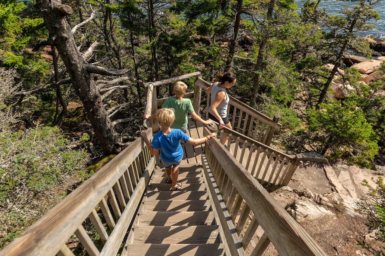 A woman and two children walk down a wooden staircase surrounded by trees and rocks near the water.