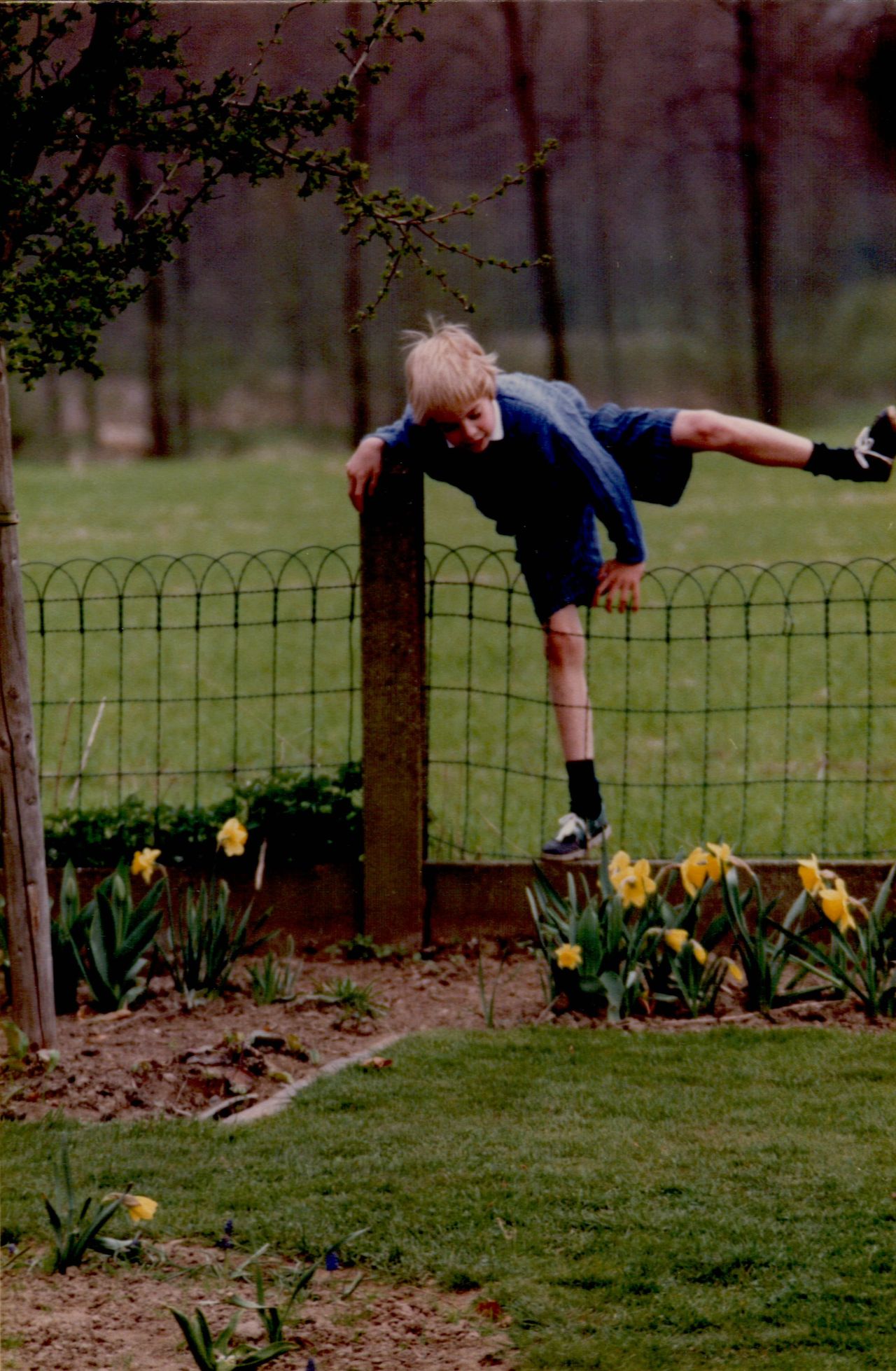 Dries jumping a fence