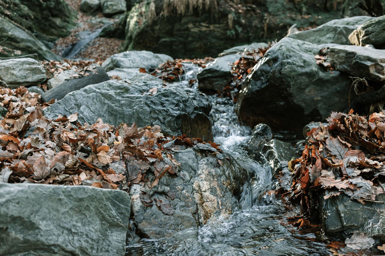 A small stream flows over rocks covered with fallen brown leaves in a forest setting.