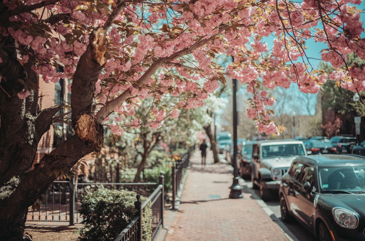 Boston spring