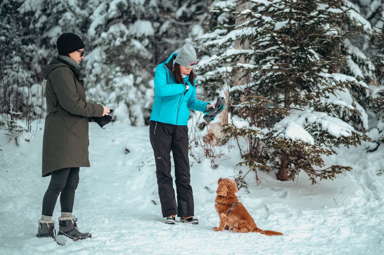 Two people in winter gear with a small dog sitting in the snow, set against a snowy forest.