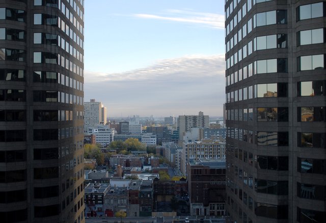 View from hyatt View from hyatt