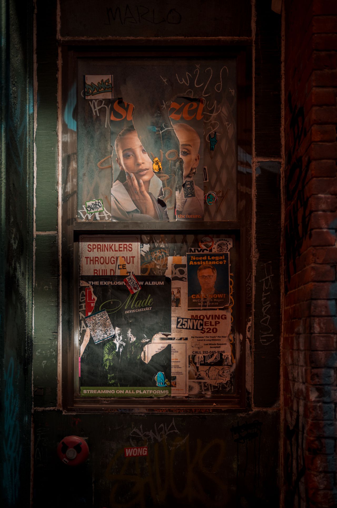 A door with posters, one of which is partially torn in half.