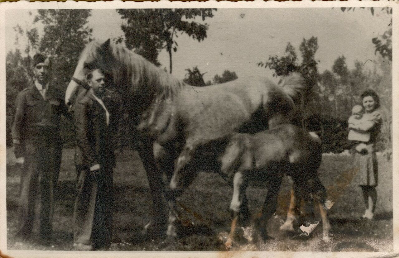 A man in an army uniform stands beside a large horse, with others nearby, including a woman holding a baby.