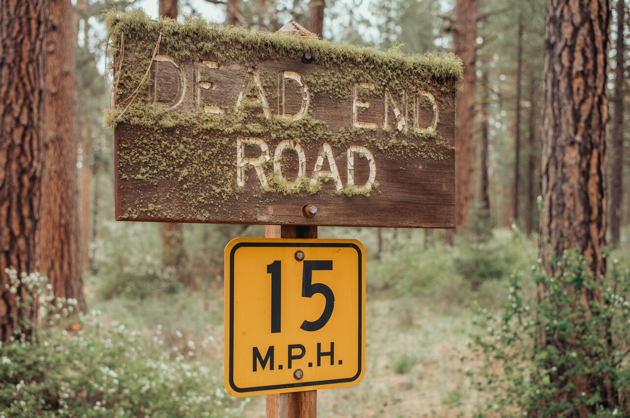 Wooden &quot;Dead End Road&quot; sign covered in moss, with a yellow 15 MPH speed limit sign below.