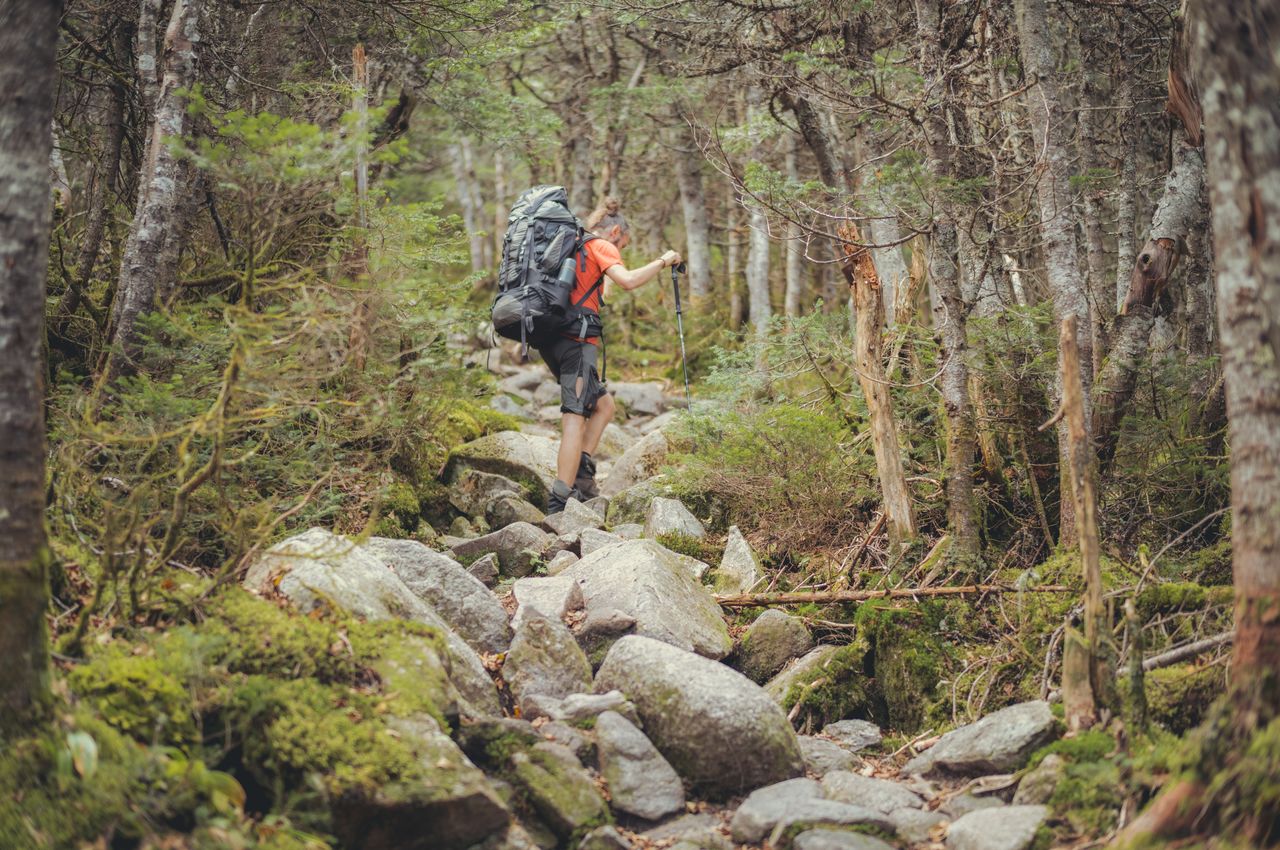 A hiker with a large backpack ascending a trail with large rocks in between trees.