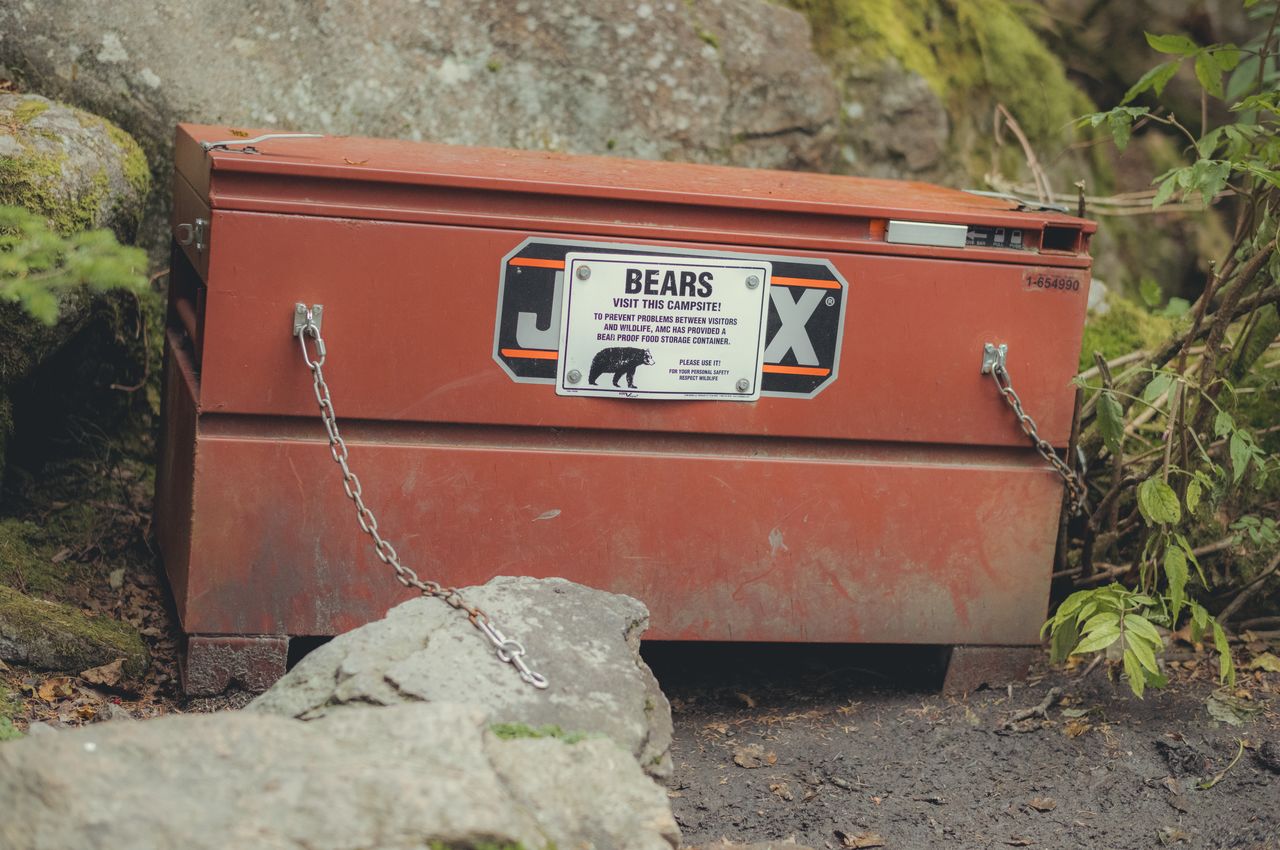 Metal food box at liberty springs tentsite A large metal container with a sign that reads "Bears visit this campsite!".