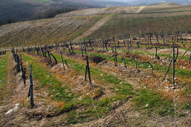 Chianti landscape Chianti landscape
