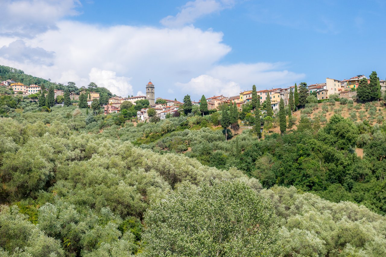 Village beyond the olive groves