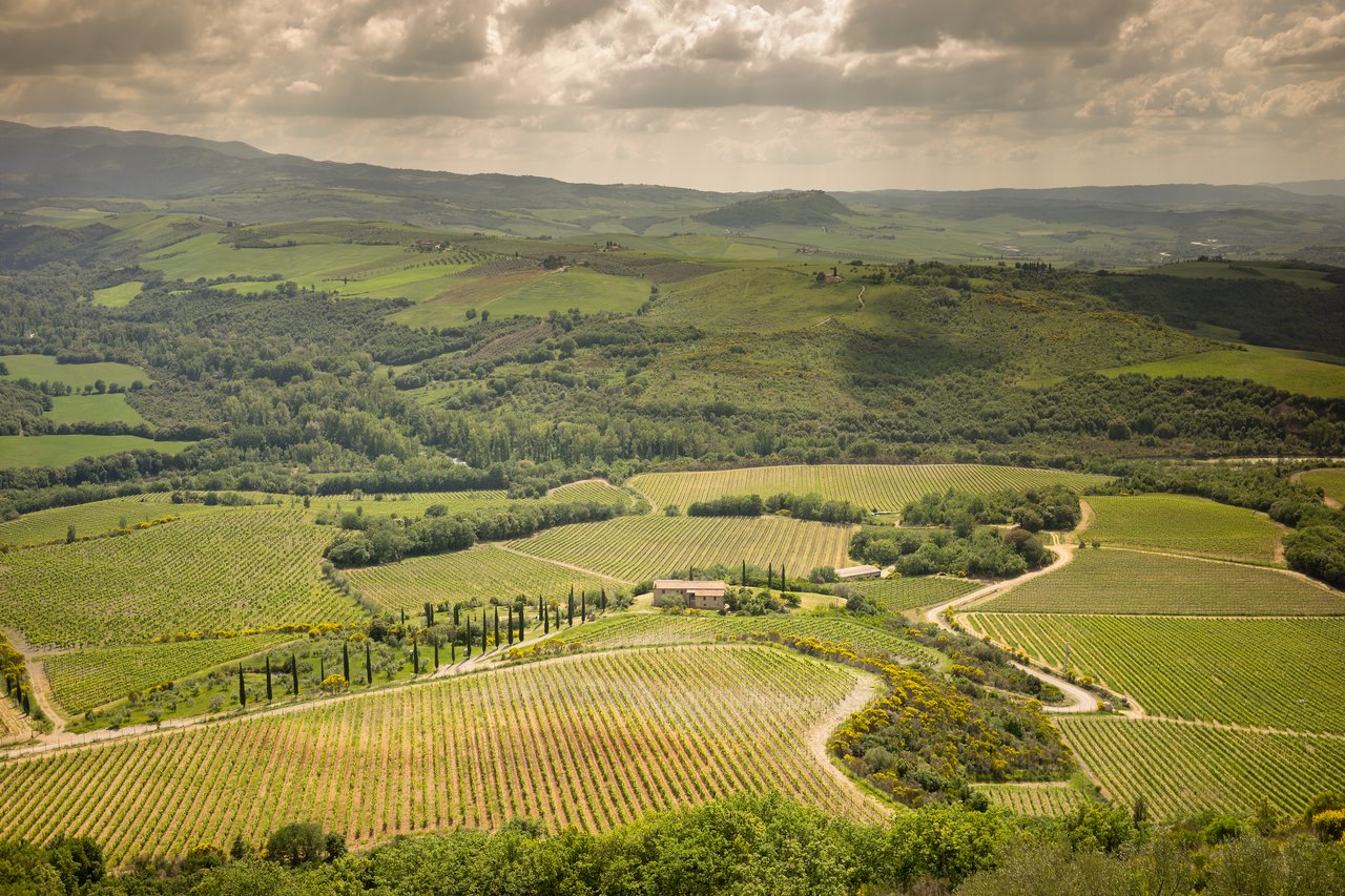 Rolling hills with vineyards Rolling green hills with vineyards and a farmhouse, surrounded by winding roads and trees under a partly cloudy sky.