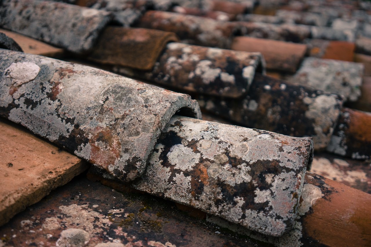 Terracotta roof tiles Close-up of old terracotta roof tiles covered in patches of moss and lichen.
