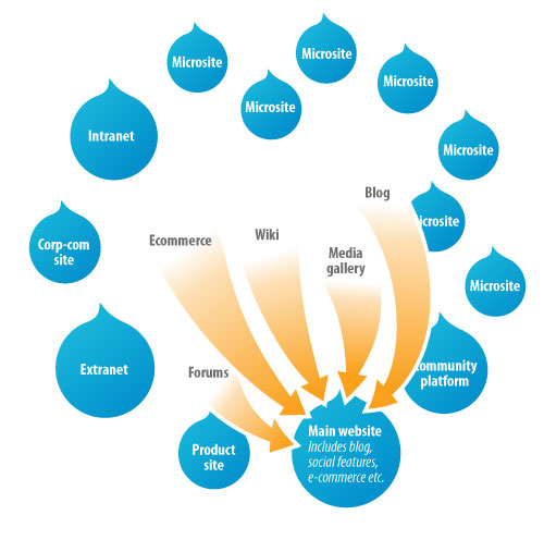 A diagram showing a main website connecting to microsites, intranet, forums, e-commerce, and other platforms.