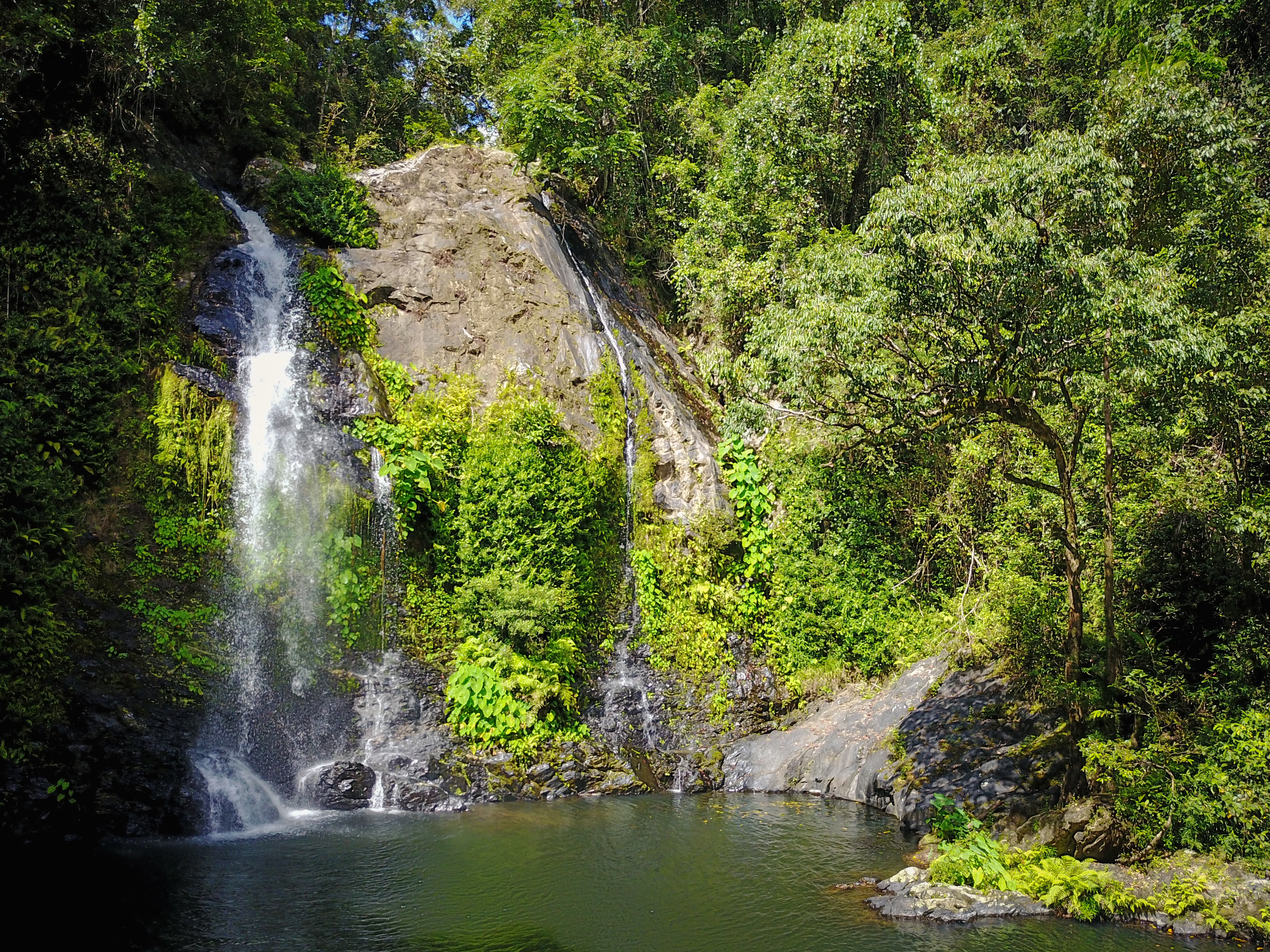 A waterfall cascades down a rocky cliff into a pool, surrounded by green vegetation and trees.