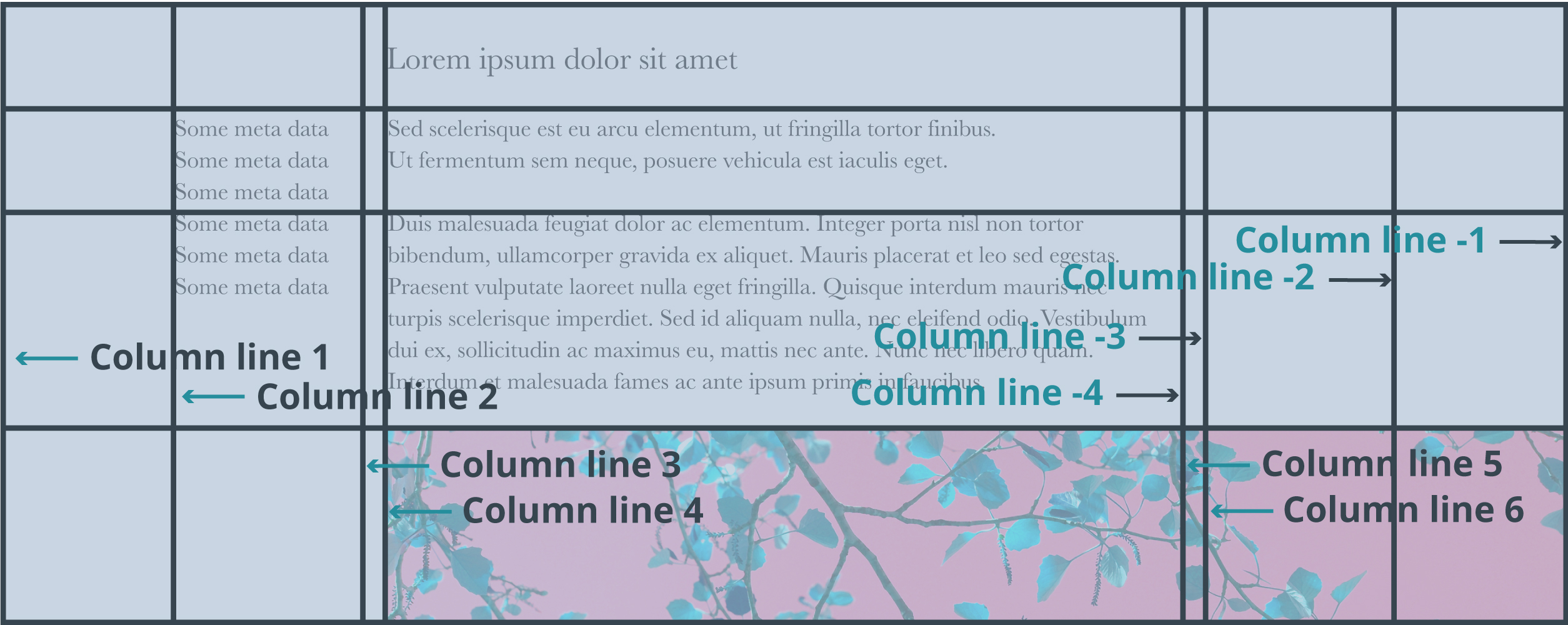 Css grid layout column lines