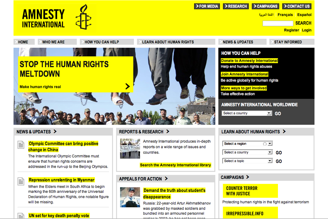 Amnesty International website homepage displaying human rights news, campaigns, and ways to take action against global abuses.