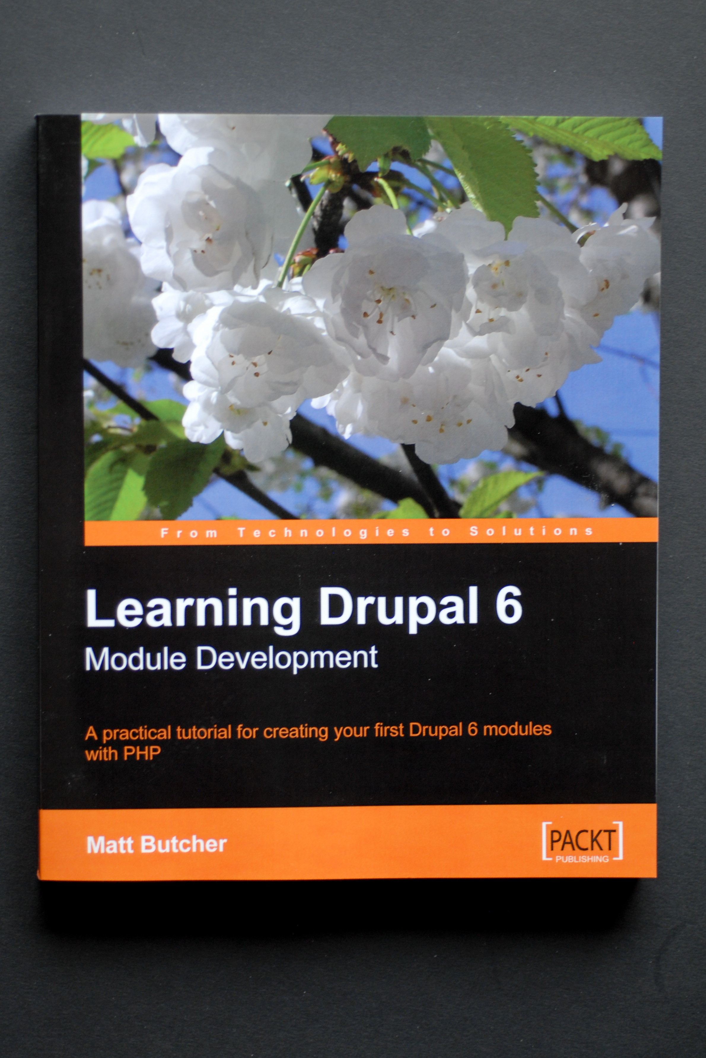 Book cover of "Learning Drupal 6: Module Development" by Matt Butcher, published by Packt Publishing.