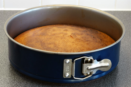 A cake in a cake pan