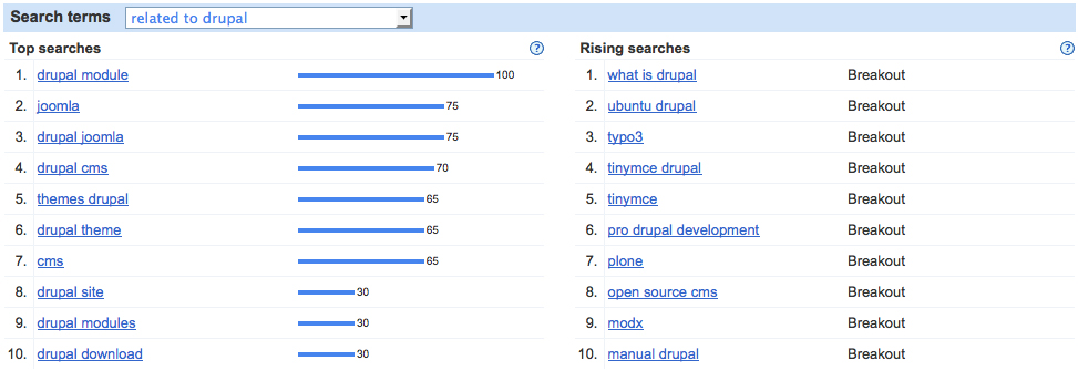 Google insights search terms