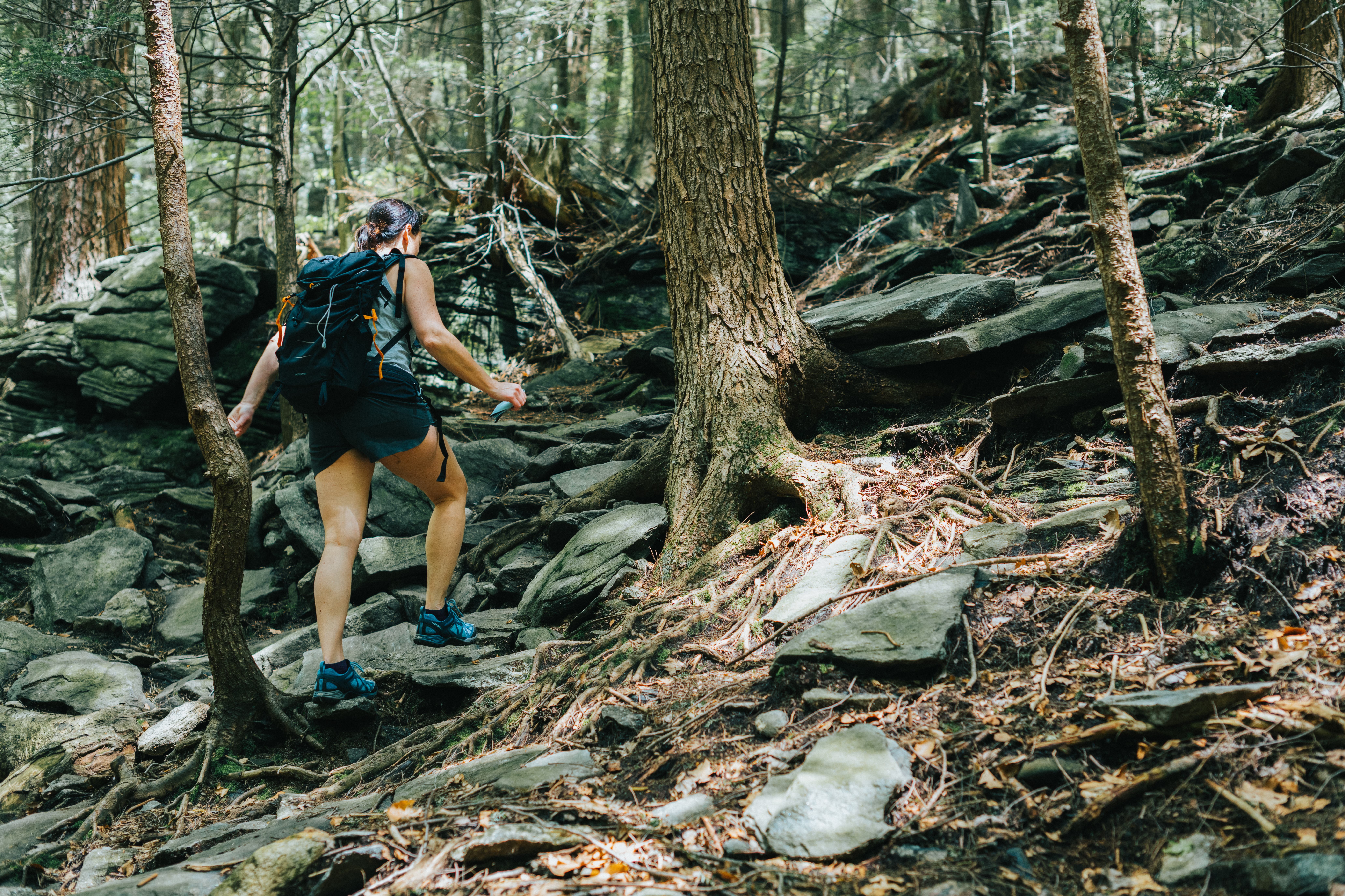 Hiking the Wachusett Summit Loop