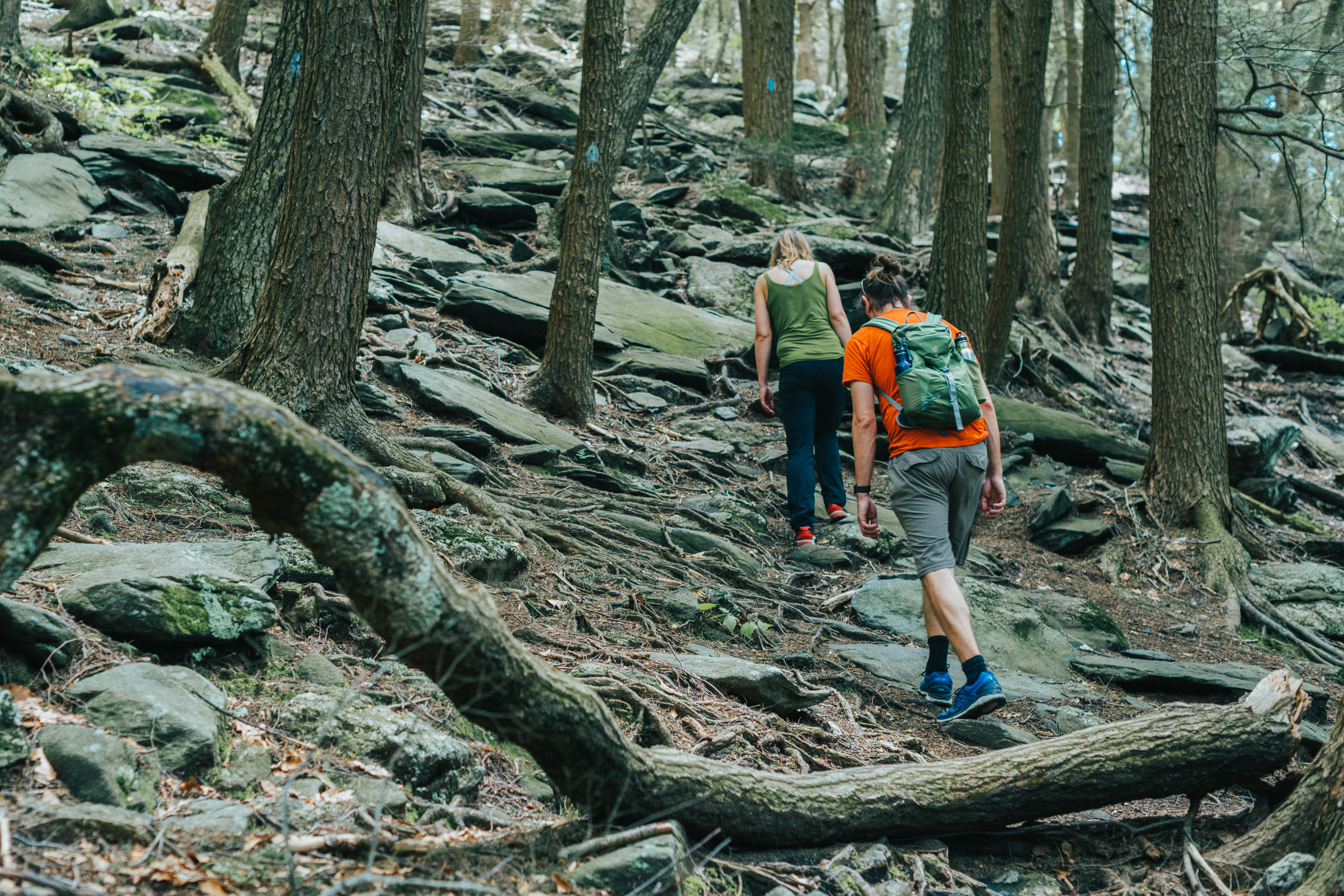 Hiking the Wachusett Summit Loop
