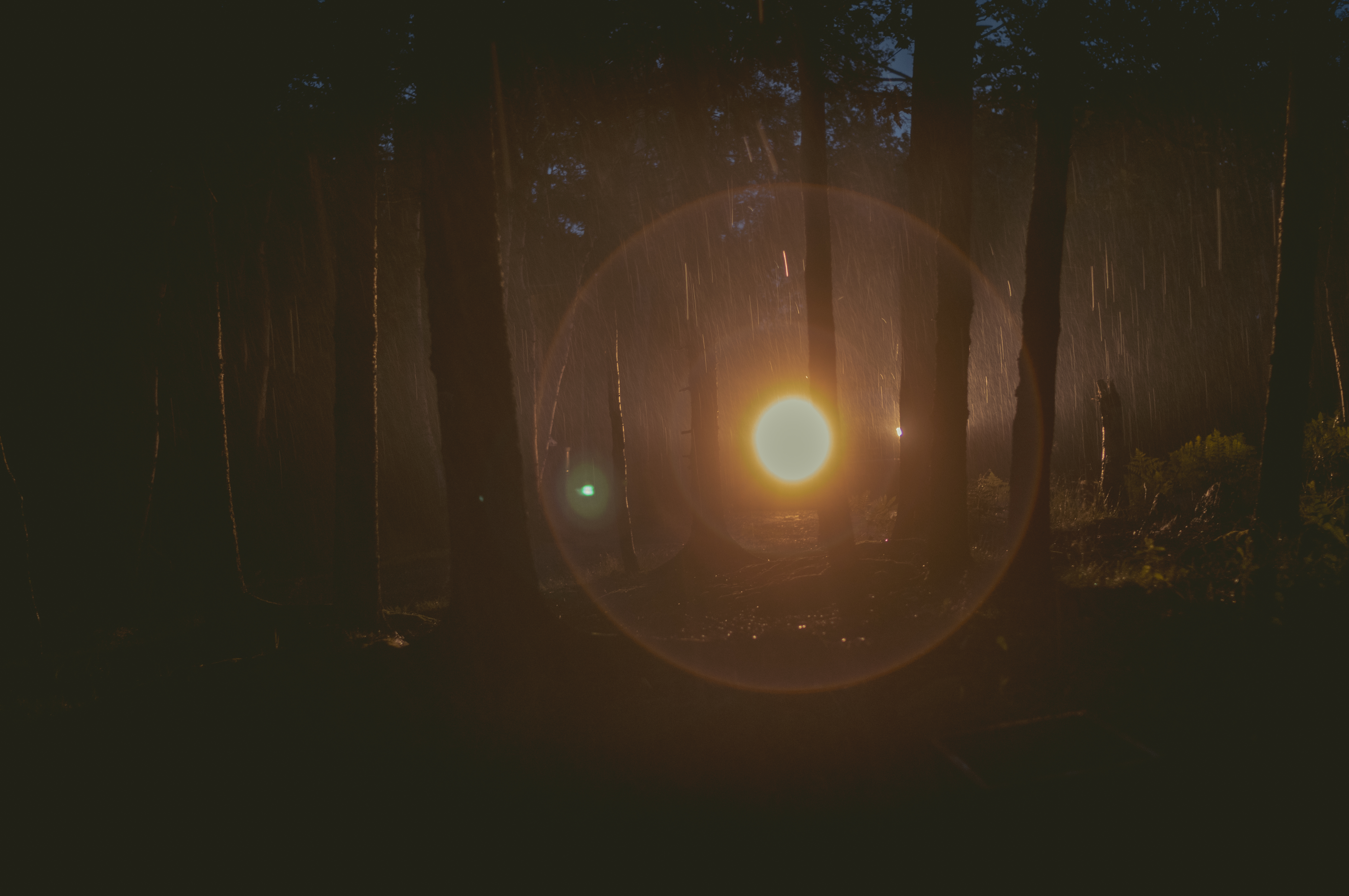 Bright car lights reveal tree silhouettes and rain in a dark forest.
