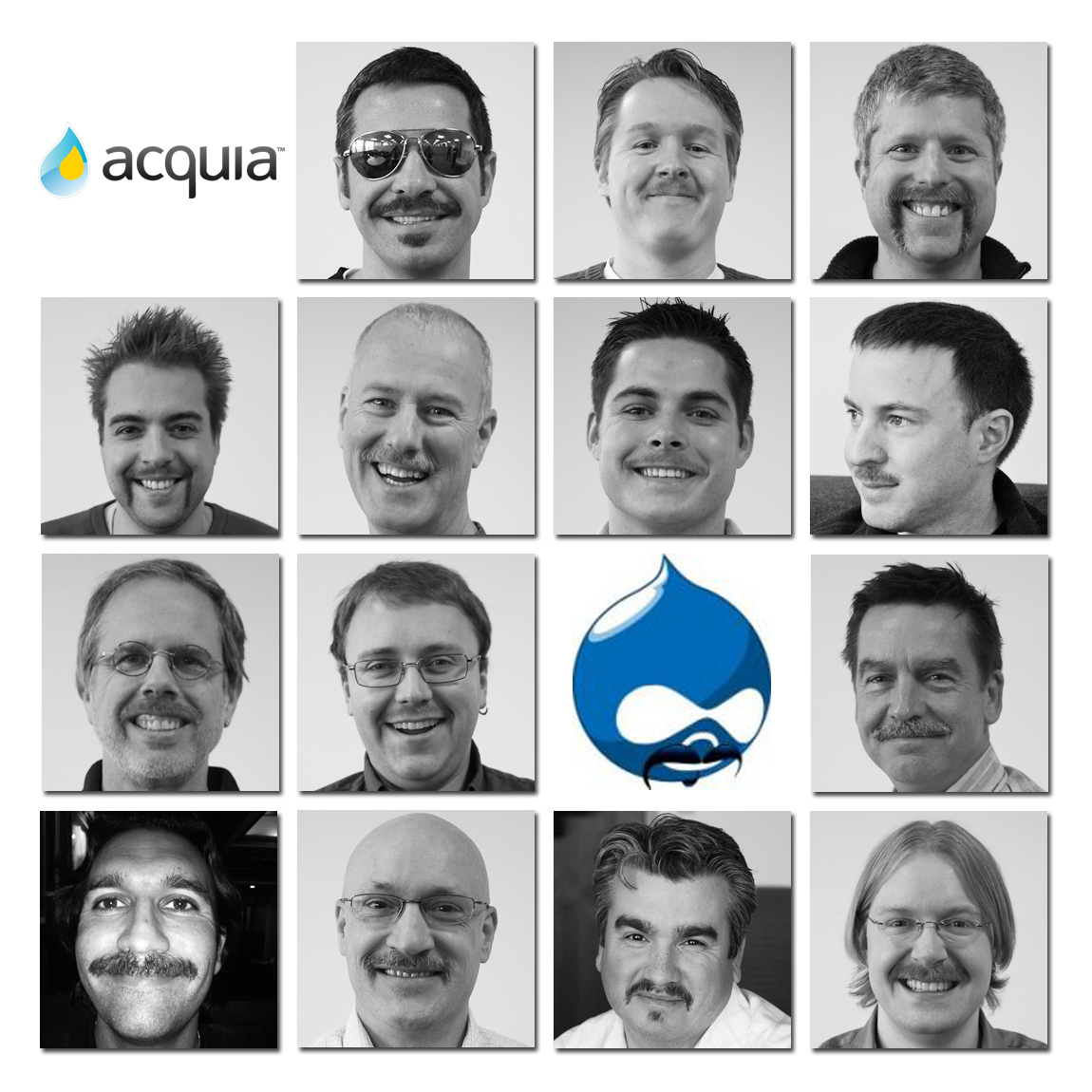 A collage of Acquia team members with mustaches for Movember 2010, featuring the Drupal logo with a mustache.