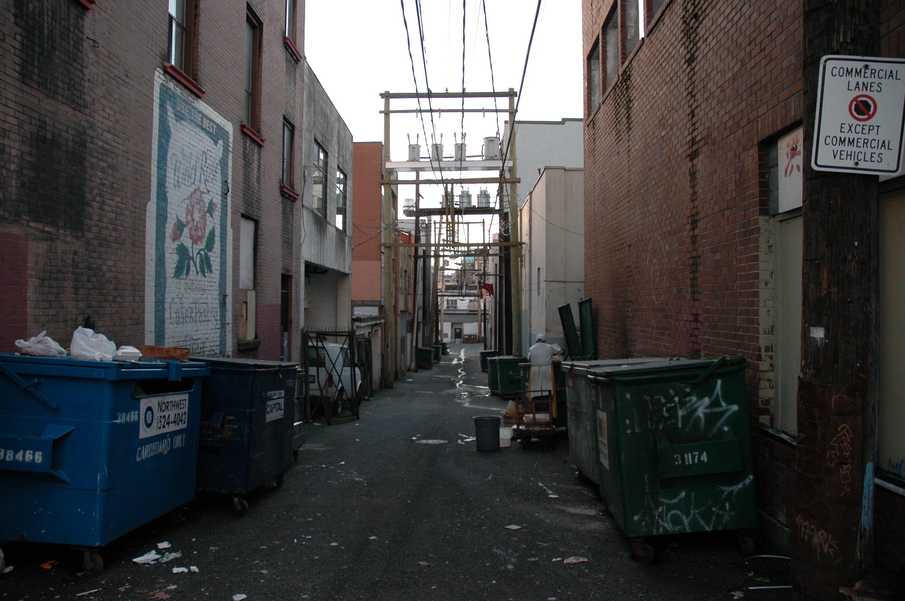A narrow alley with dumpsters on both sides and a person rummaging through a trash bin in the distance.